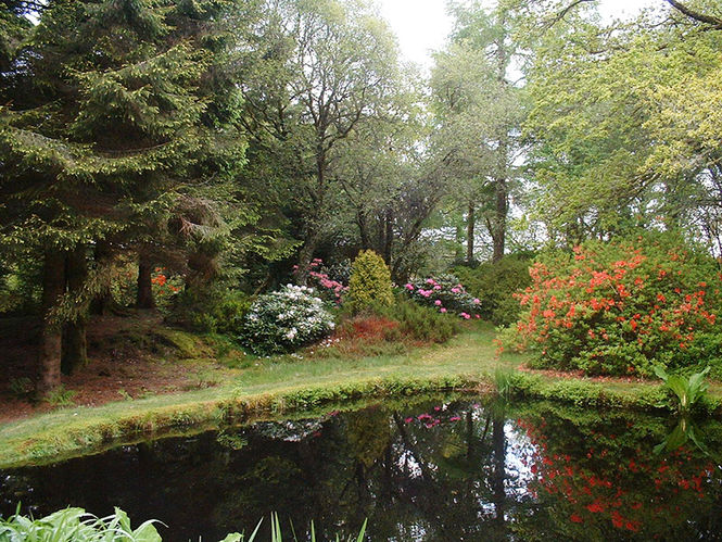 Angus's Garden, Barguillean