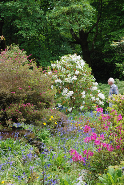 Strachur Flower & Woodland Gardens