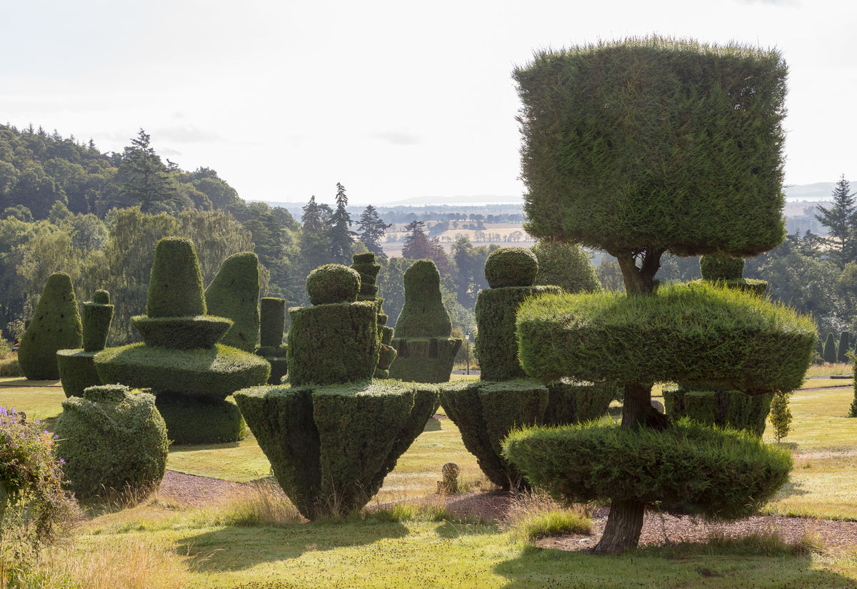 Topiary Fingask Castle