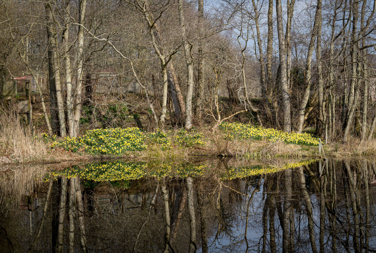 The Steading at Clunie, reflections