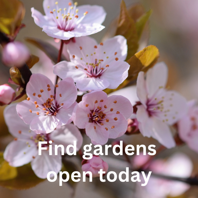 find-garden-open-today-661661850472f.png