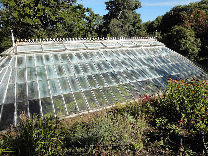 Ascog Hall Garden and Fernery