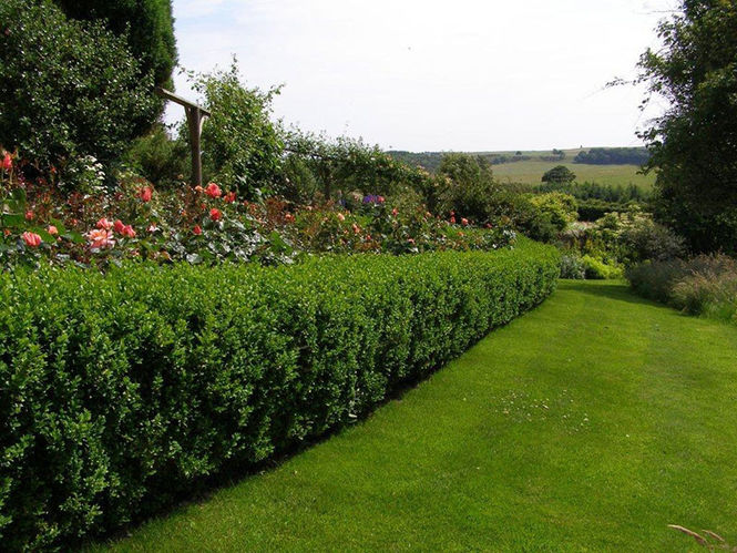 Greenhead Farmhouse