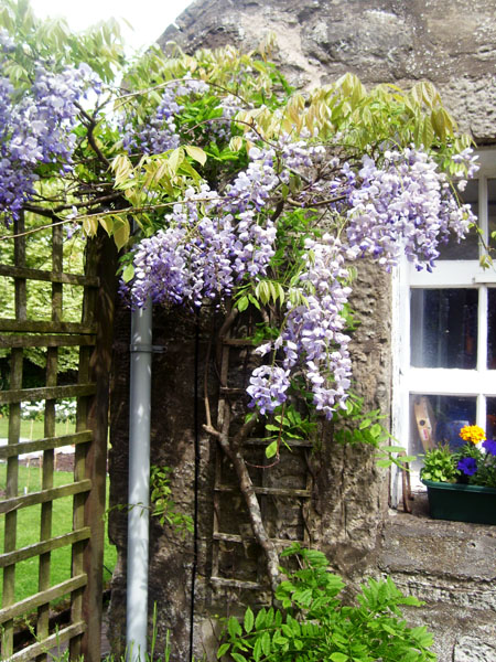 Temple Village Gardens