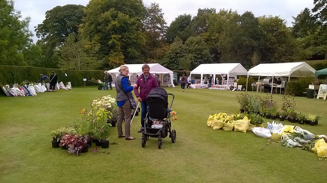 Hill of Tarvit Plant Sale and Autumn Fair