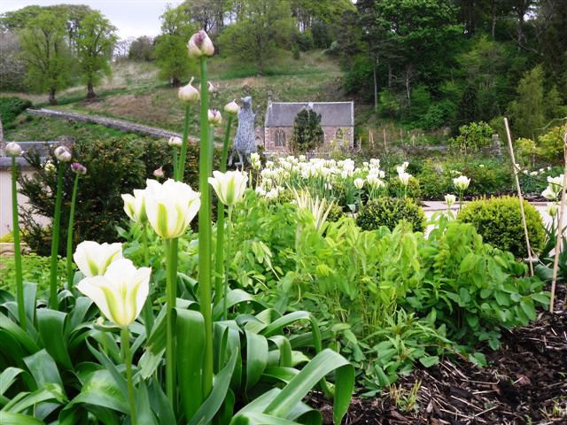 New Lanark Roof Garden