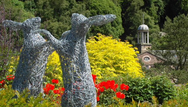 New Lanark Roof Garden