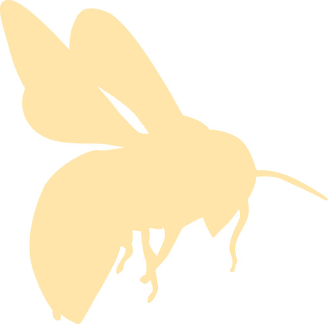 bee-flying-light.jpg