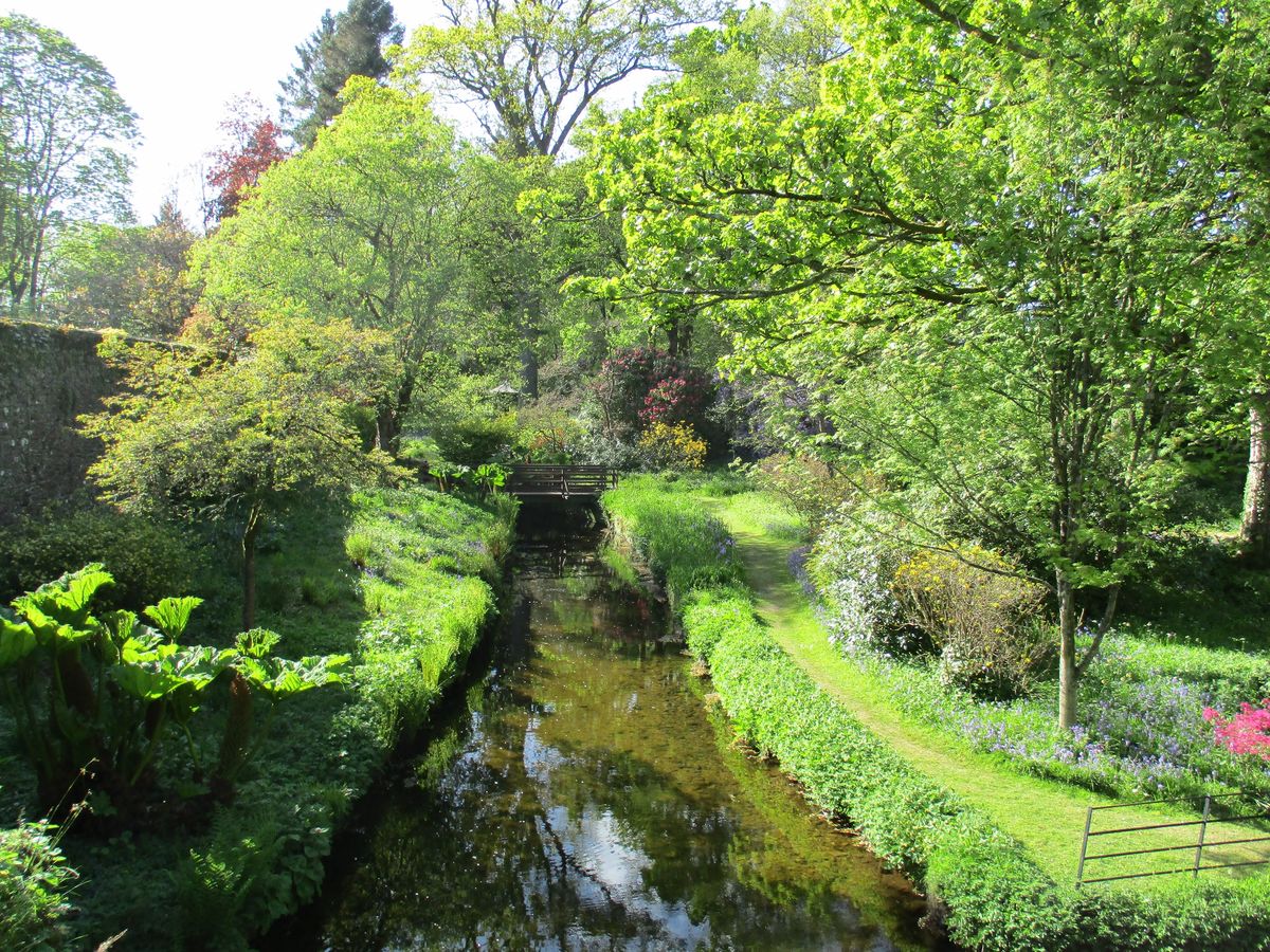 The burn at Geilston Garden from the Potting Shed
