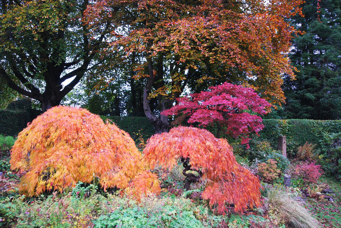 Hollytree Lodge