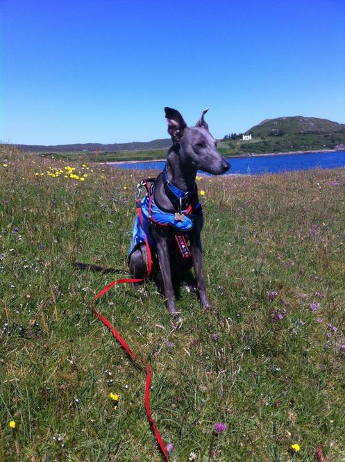 Mr Lowry in Wester Ross