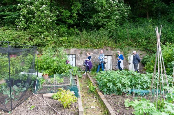 Open Gardens of the Lower New Town