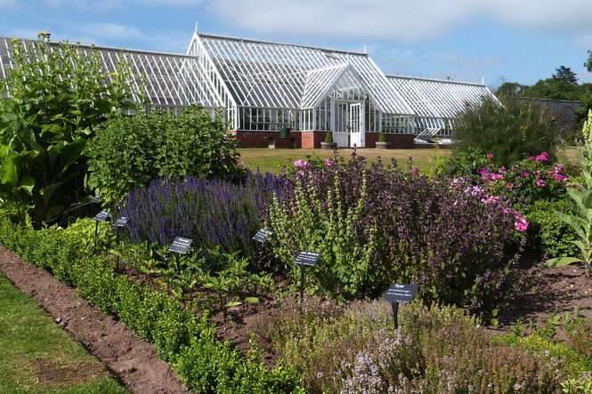 The Herbalist's Garden at Logie