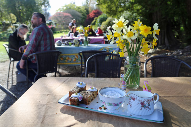 Tea and cake at Megginch Castle, Perth and Kinross