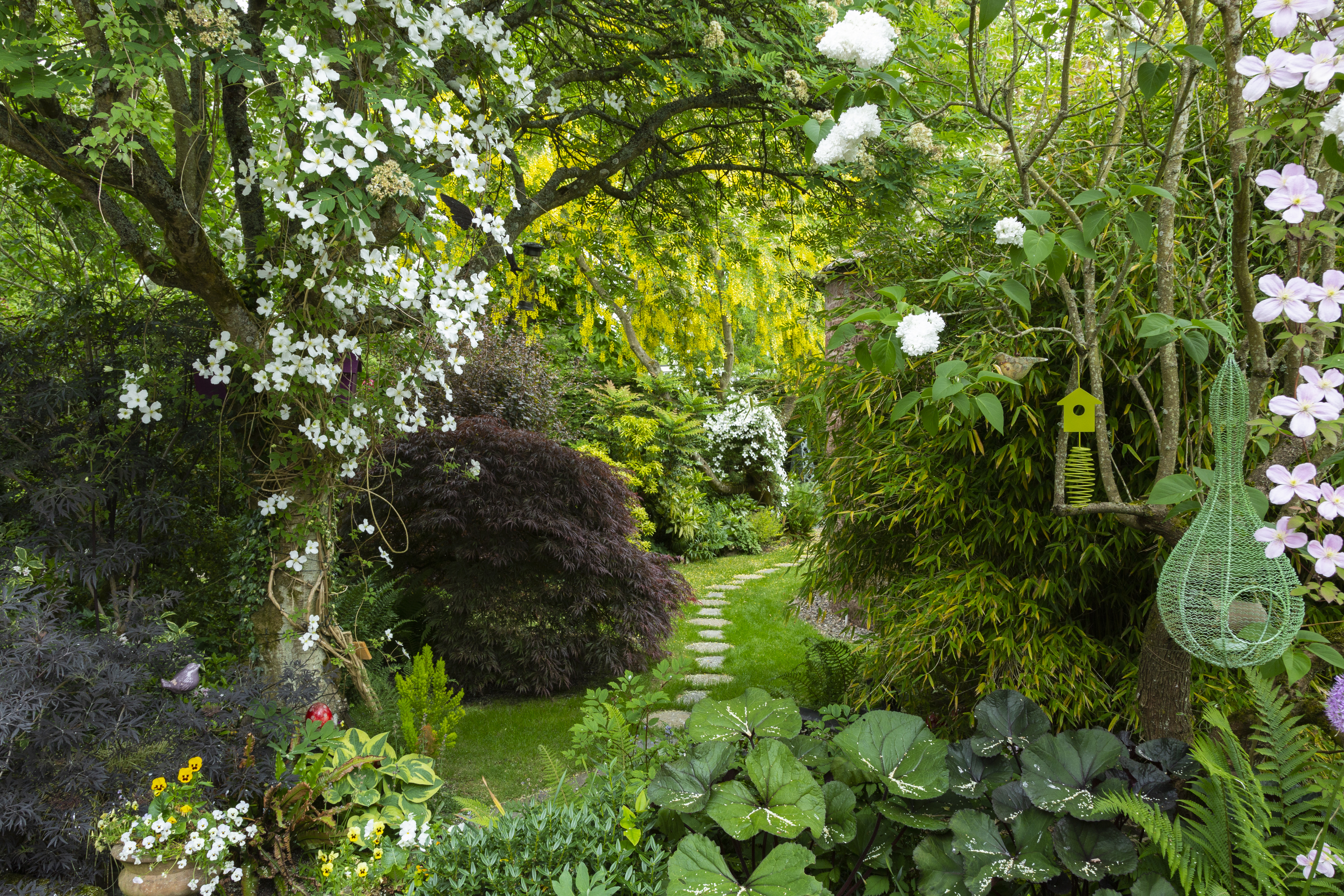 Arbroath Collection of Gardens