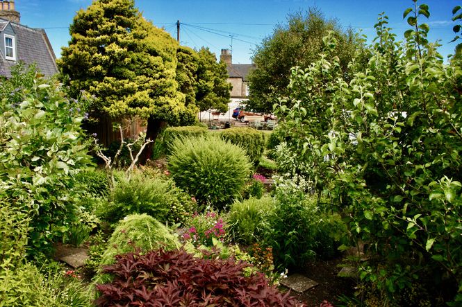 Coldstream Open Gardens