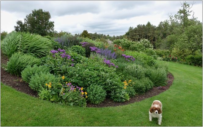 West Leas garden in July