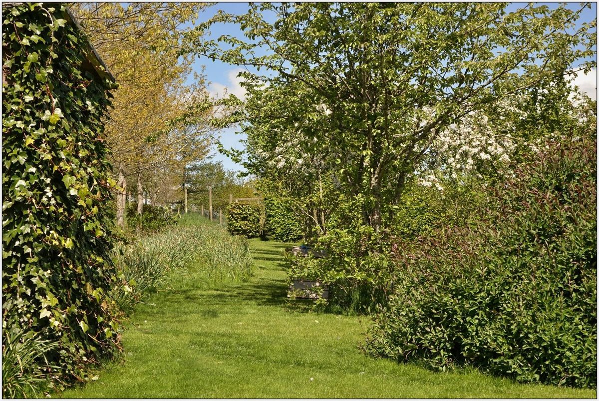 Beside the orchard at West Leas