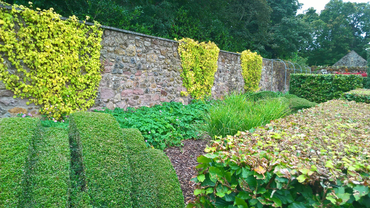 Whitburgh House Walled Garden