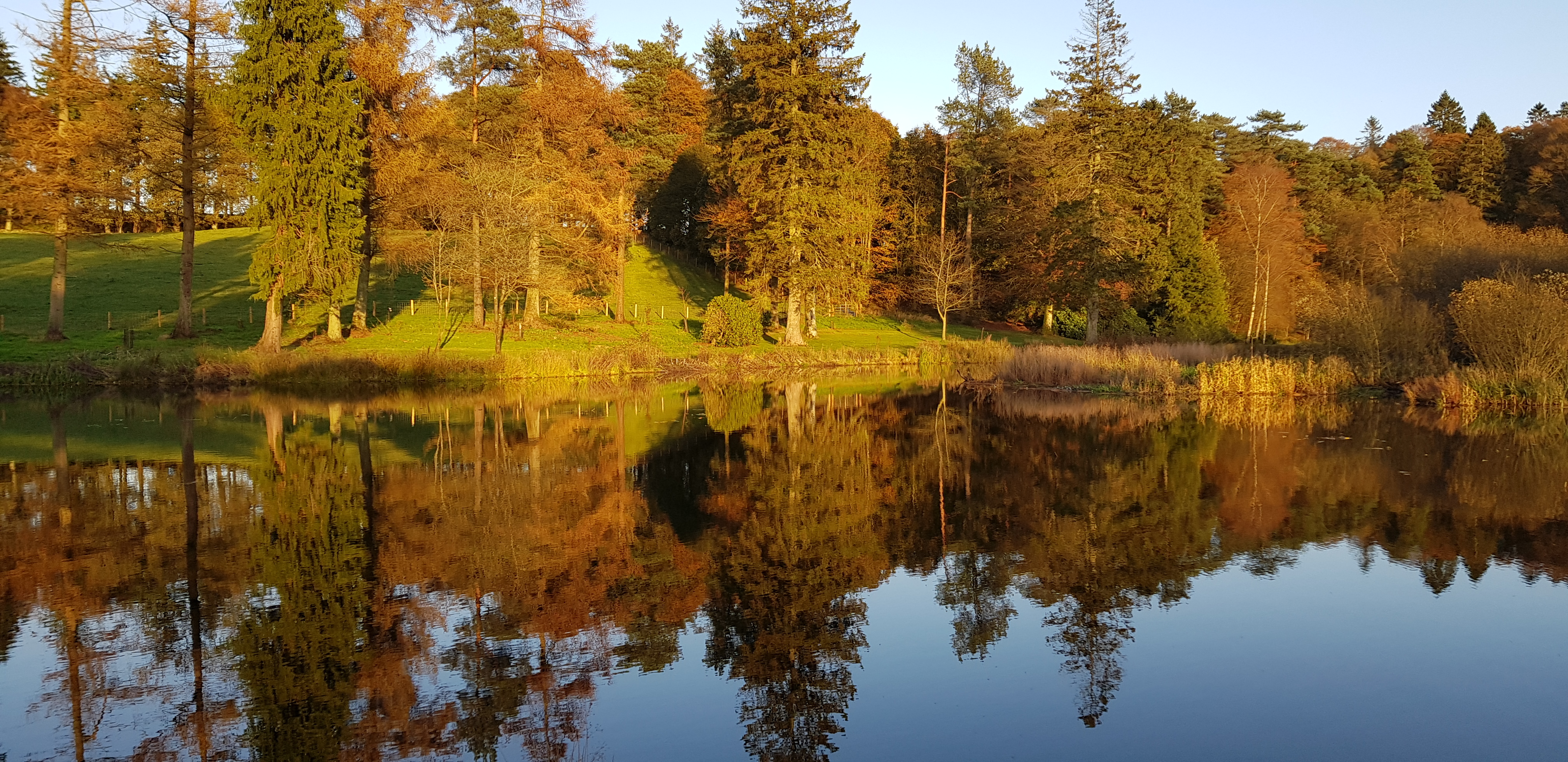 Storytelling at Dalswinton