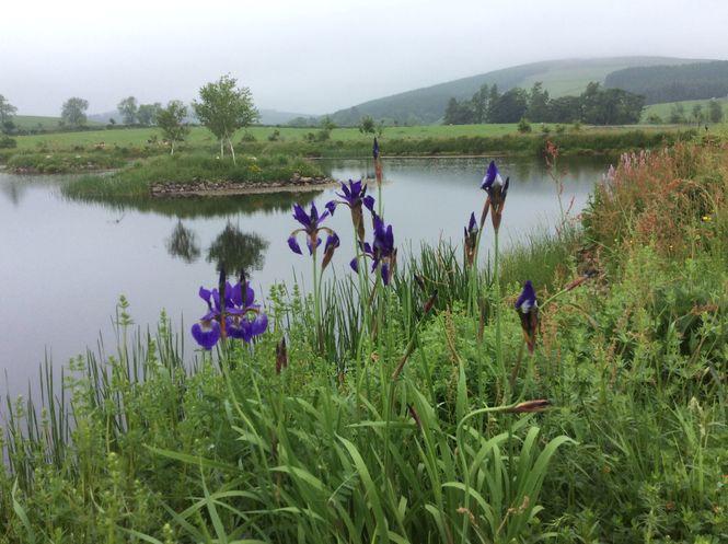 Kilry Village Gardens