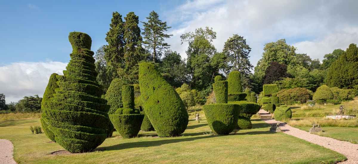 Topiary Fingask castle