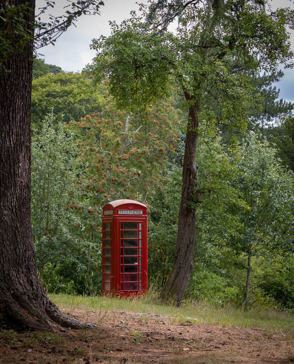 Phone box in the woods