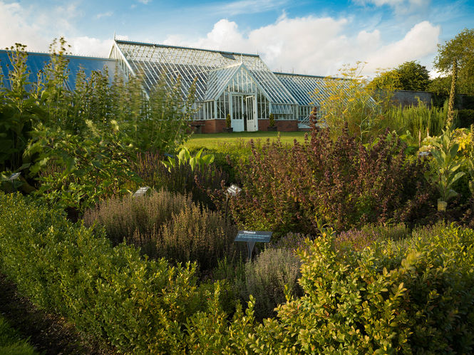 The Herbalist's Garden at Logie