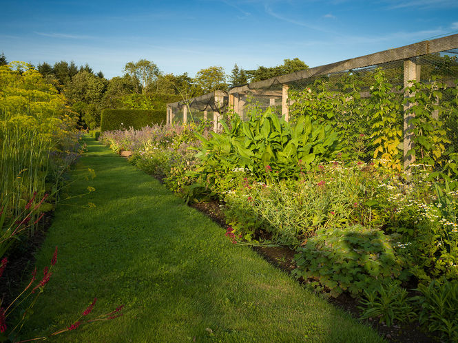 The Herbalist's Garden at Logie