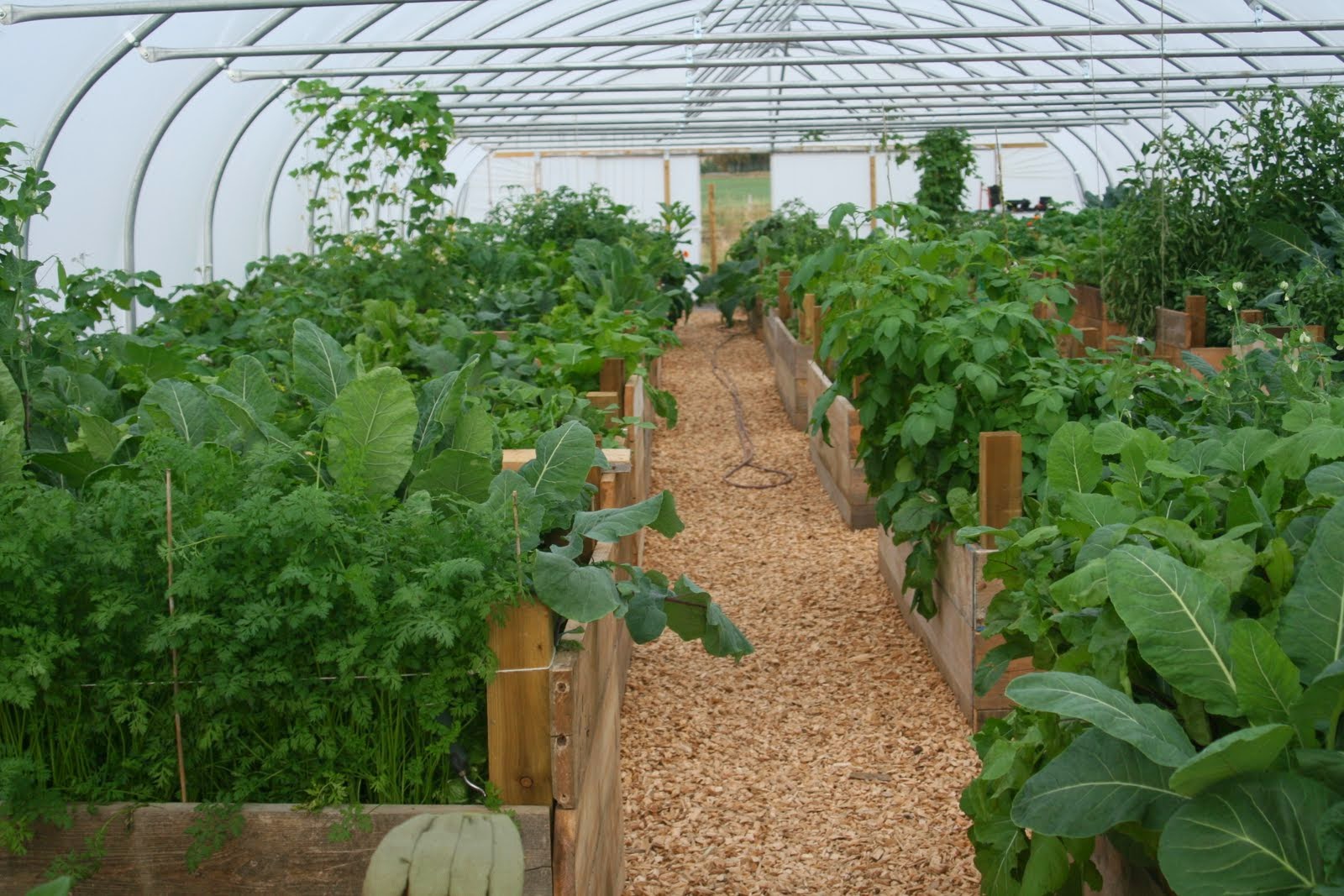 Tarland Community Garden