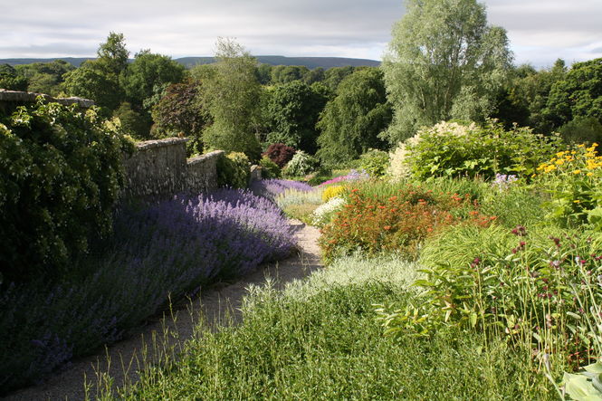 Leith Hall Plant Sale