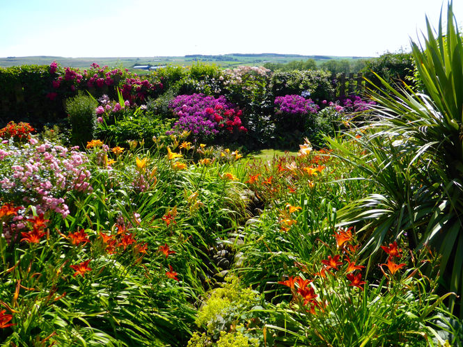 Auldbyres Farm Garden