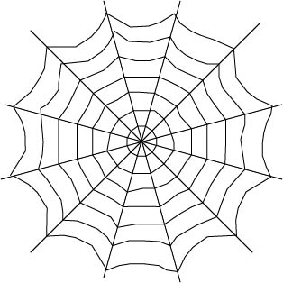 spiders-web.jpg