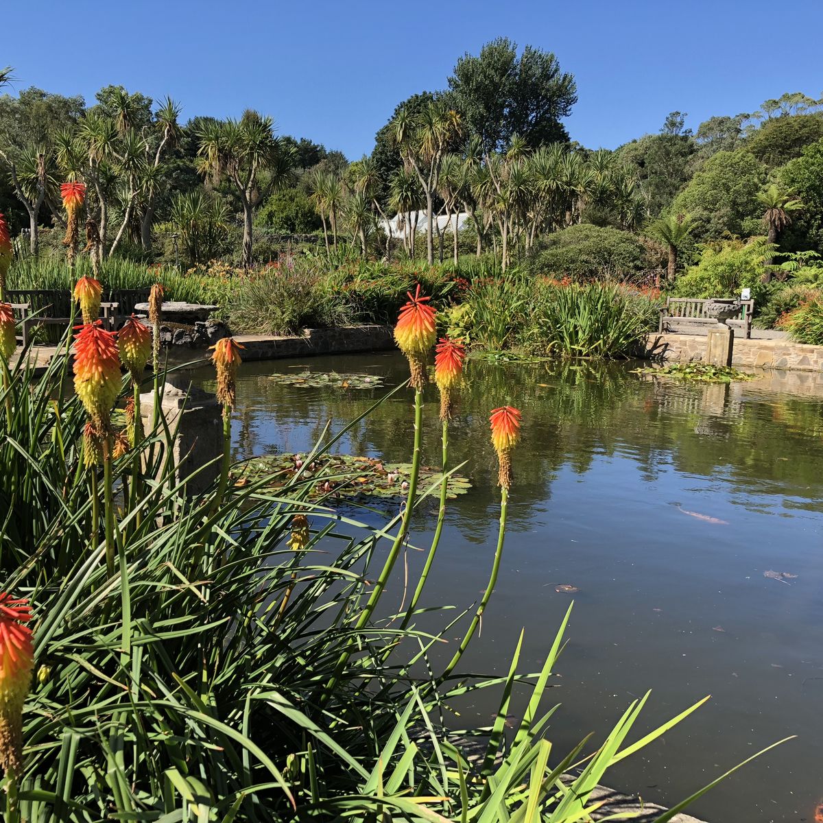 Logan Botanic Garden