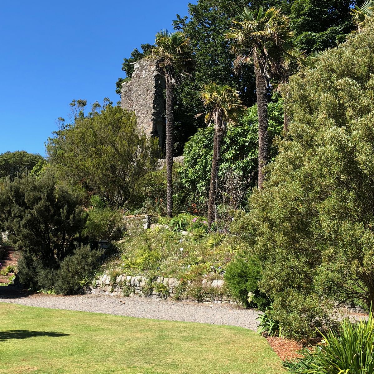 Logan Botanic Garden