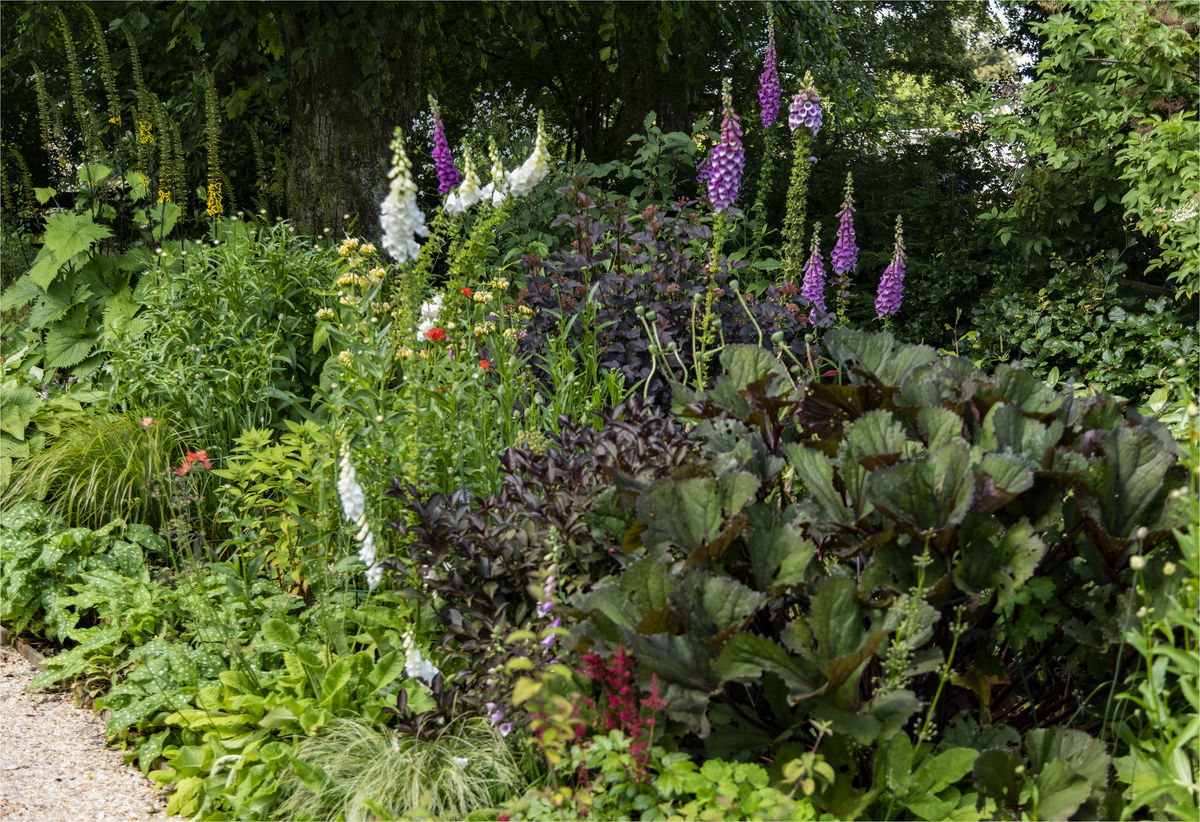 19 Waterslap border in wooded area