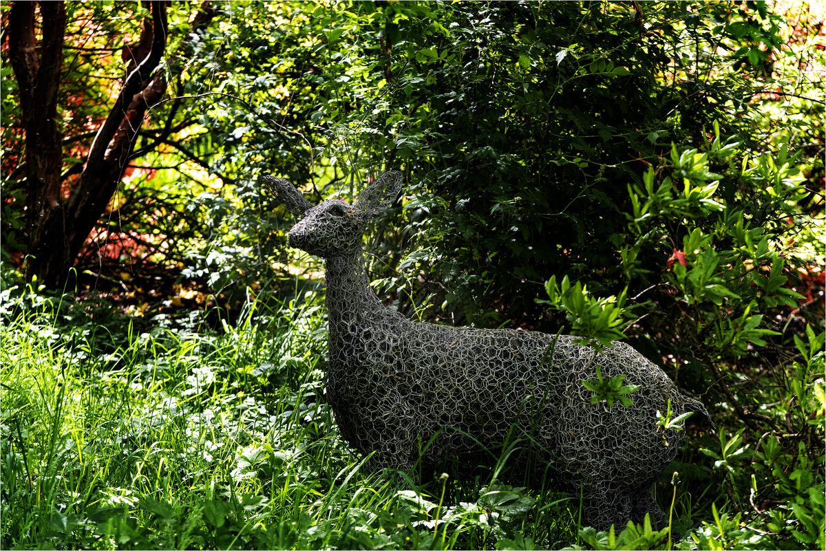 Barnweil Garden, Wire Deer Scupture