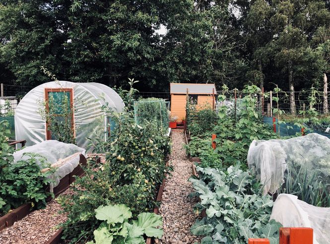 Allotment Association of Crieff
