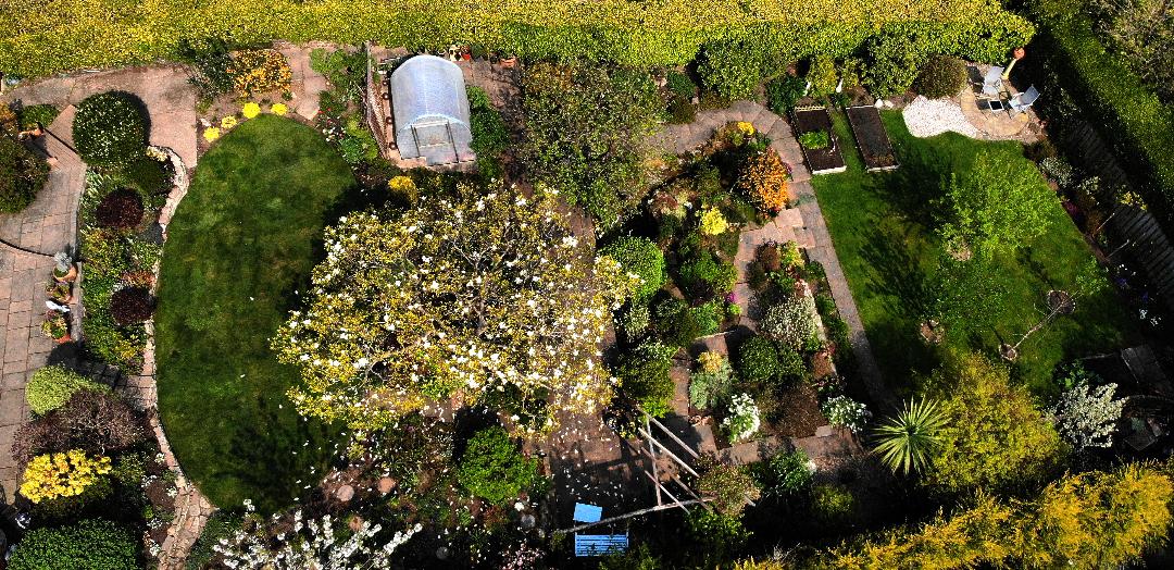 Garden from the sky