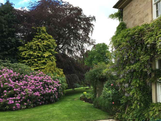 Gattonside Village Gardens