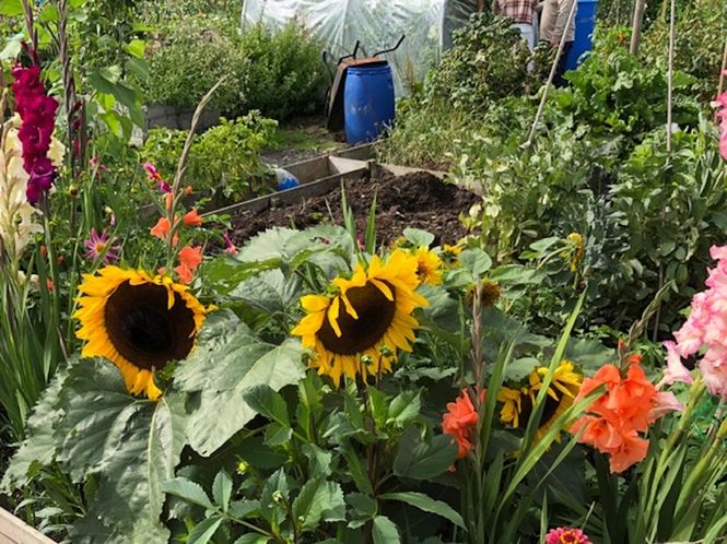 Gardens and Health Week 2019