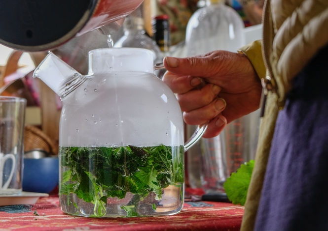 Gardens and Health Week 2019