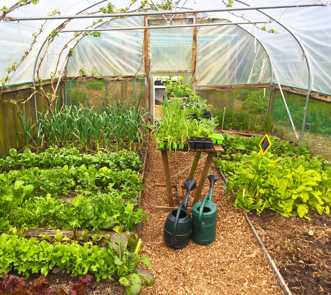 Strathkinness Community Garden, Fife