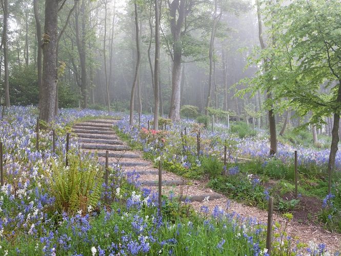 Teasses Garden, Fife