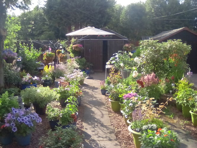 New Gardens Opening in July