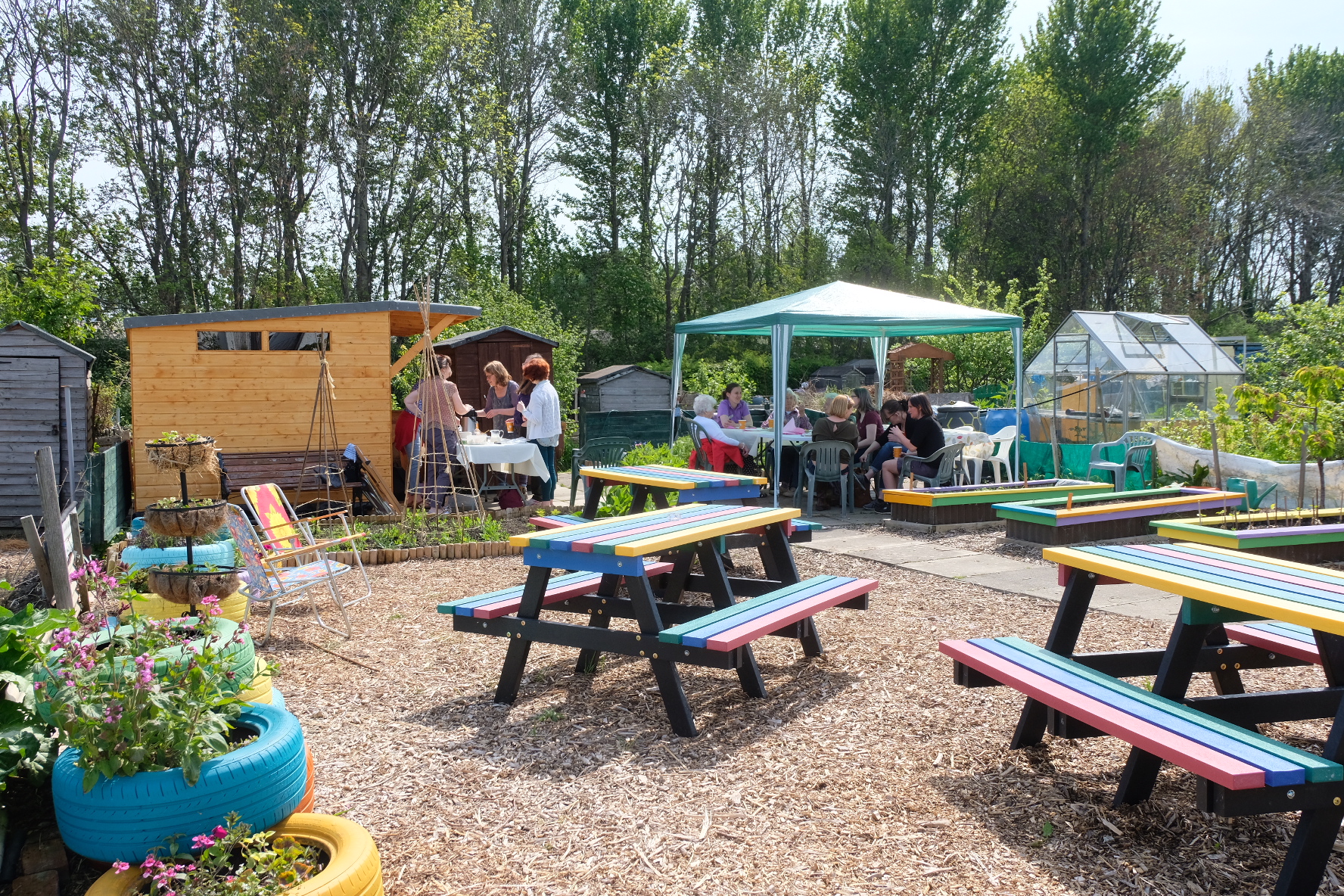 Afternoon Tea on the Allotment