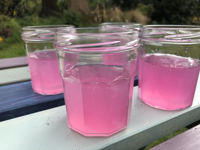 00-violet-lemonade-glasses.jpg