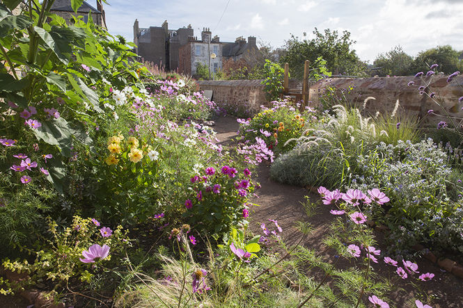 How to Photograph Your Garden