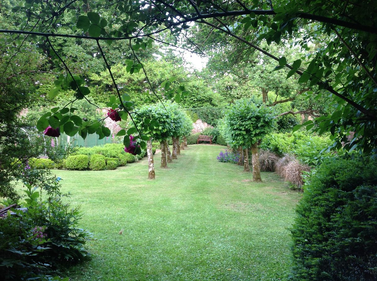 Woodfall Gardens