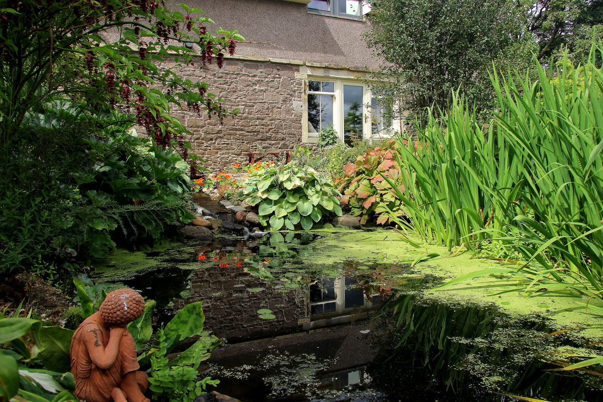 Old Farm Cottage: Pond and House